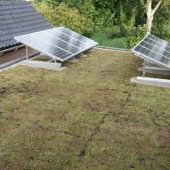 sedum dakbedekking met zonnepanelen direct na aanleg
